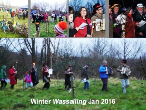 Orchard Wassailing 2016